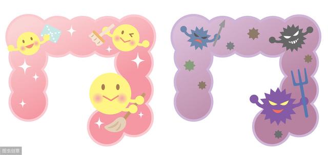 医生提醒：带你了解肠道“细菌”，这些细菌能干什么？看看吧