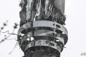 “老佛爷，洋人5G信号塔坏我大英龙脉，必烧之！”图片