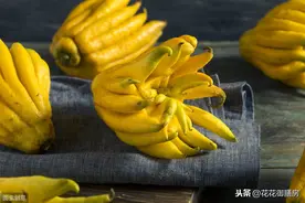 麻麻赖赖的佛手柑该怎么吃哦图片