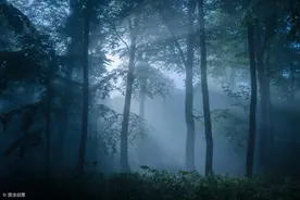 小说：门卫大爷在小区公厕被杀害，同样死法的怀孕母猫成破案关键图片