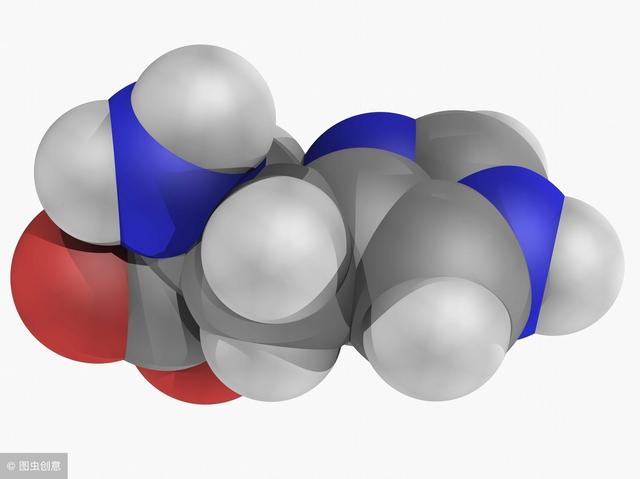 氨基酸是营养品吗？