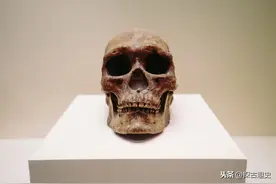 中国人从哪里来？与白种、黑种有共同祖先么（二）图片