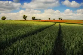 俄远东地区农业用地调研图片