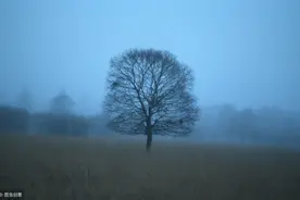 小说：心机女欺负我3年，向老师求救却说：你再忍忍图片