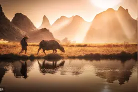 青山青草里，一笛一蓑衣。——唐代：栖蟾《牧童》图片