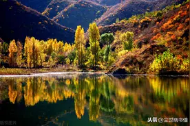 杨万里傍晚出门散步，信手拈来写下一首趣诗，每一句都如诗如画图片