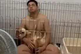 男友迟迟不来睡觉，女子一看狗笼笑翻，父子情深啊图片