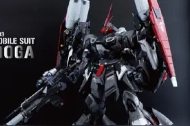 RE 1/100比例乍得多加图片