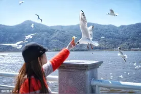 慵懒之城，四季花都，来云南昆明感受不变的四季，邂逅最美的她图片