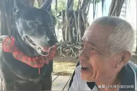 人间相伴二十五载，狗狗安心地“追随”爷爷而去，此生了无遗憾！图片