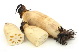 莲藕发生褐纹病的症状有哪些，怎么防治？图片