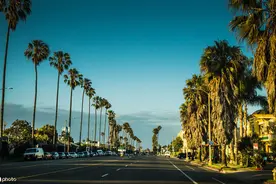 美国道路Blvd，Ave，Drive区别图片