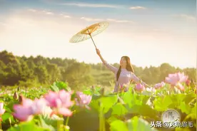 开一朵静美在心，采一笔清风流云图片