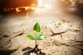 人在低谷，没有人能真正拉你一把，唯有靠自己图片