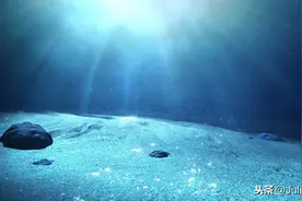 那神奇的海底世界——读《海底两万里》图片