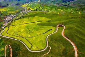 甘南卓尼杨土司世袭传承历史介绍图片