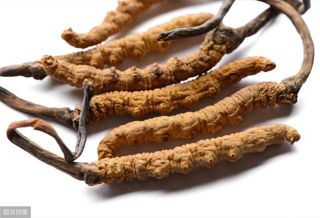 三类人不能吃冬虫夏草 2025年三类人不能吃冬虫夏草高血压可以吃虫草吗 三类人不能吃冬虫夏草 2025年三类人不能吃冬虫夏草高血压可以吃虫草吗