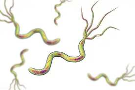 幽门螺杆菌，吃益生菌就能清除是真的吗？科学研究给出真相图片