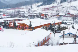 爆笑：东北农村生活习惯很奇葩，刮得刮得驴车让南方姐夫招架不住图片