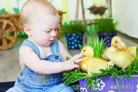 “小兔崽子”用英文怎么说？很简单，跟“rabbit”没半点关系图片