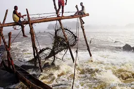 刚果河：非洲生物地理大屏障，3段河流地貌孕育了独特的鱼类图片