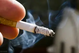 拿什么拯救生活的平淡：用烟一样的《嗜好品》，还有幽会时的快感图片