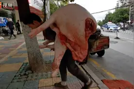 背猪大叔走红：一个100多斤的人是如何扛得动500多斤的猪的？图片