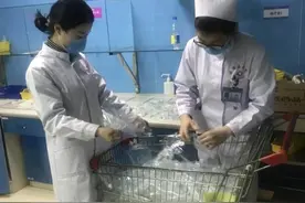护士只需要学发药打针？请把这段话给他看图片