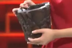 姑娘带个祖传木头笔筒来鉴宝，专家一看款识，哆嗦道：您祖上贵姓图片