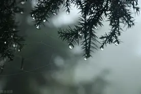 人生至暗时刻大概就是：我曾用尽全力却换来遗憾失落图片