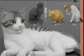 模玩资讯：奇谭俱乐部，森口修の猫 新色 扭蛋图片