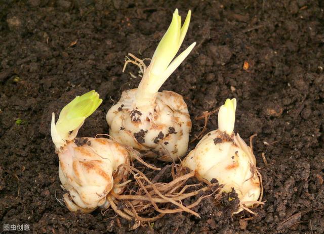 高中生物：学习过程中的这5大易错点，建议多看看