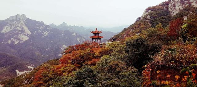全真教历任掌门：王重阳在终南山悟道，丘处机光大门庭