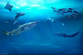 海鲜怎么吃才能好吃又瘦身？图片