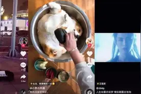 为什么我的抖音没人点赞，别人的抖音为什么那么多赞？图片