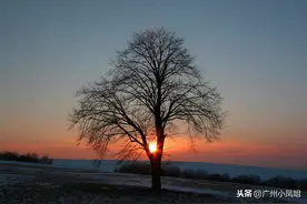 全世界都在催着我成长，却没有人问我累不累图片