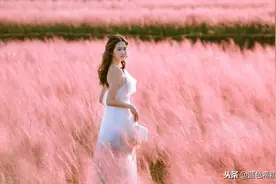 点评4张漂亮花田人像照片，学习构图和模特姿态，拍唯美糖水片图片