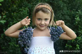 验出两条“红杠”，就是怀孕了么——葡萄胎图片