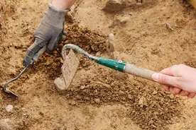 良渚文化：发现的历程图片