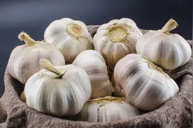 原来保存大蒜这么简单，教你两个妙招，放半年都不发芽图片