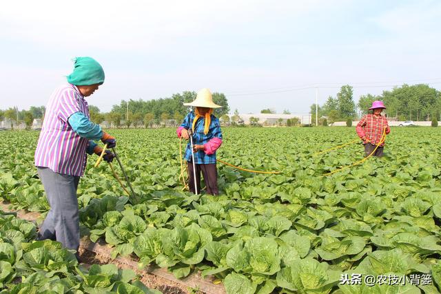 刘菜农推荐身体乳