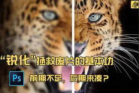 干货解读：“锐化”拯救废片的基本功，前期不足，后期来凑？图片