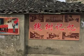 城厢镇槐树街：为文化乡愁留住记忆图片