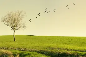 愿所有的后会有期，都是它日的别来无恙图片