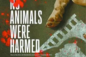 让虐待动物者，有法可依图片