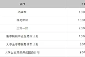 河南“铁饭碗”招21300人！岗位专科可报，岗位要求详解图片