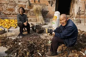 农村俗语“麻面青须不可交，两腮无肉大弯腰”，这些人不可交？图片