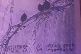 什么是浩然气、不死鸟？走过艰辛2020就知道了图片