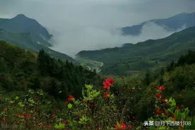 “三十三年走日本”，惨烈的湖南省常宁保卫战和日寇在常暴行点滴图片