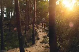 故事：前夫去世，她收到张匿名纸条，看完她连夜扛着锄头去埋葬地图片